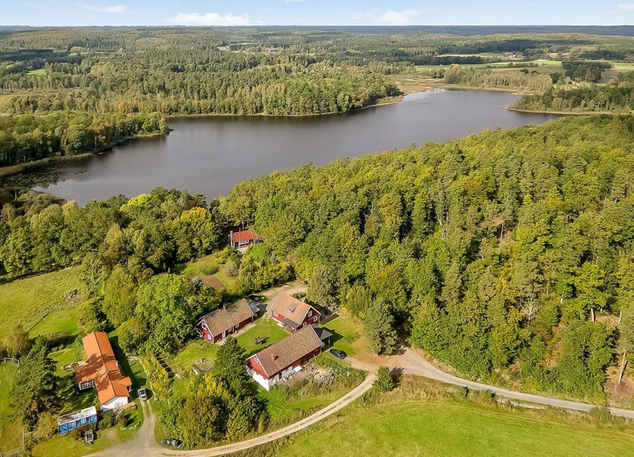 Miljövänlig produktion av blandved, honung, ägg och lammkött